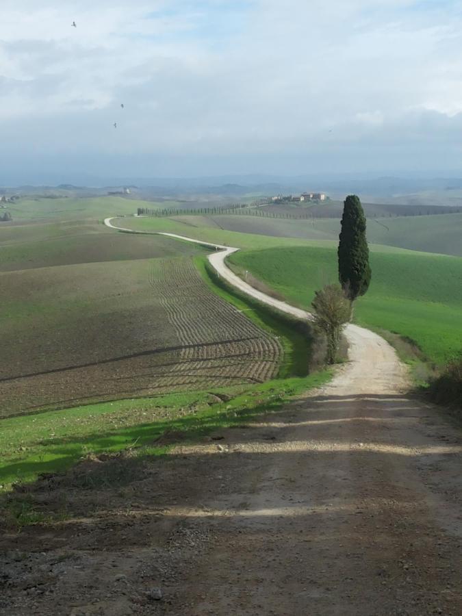 Gli Archi Di Corsanello Lägenhet Siena Exteriör bild