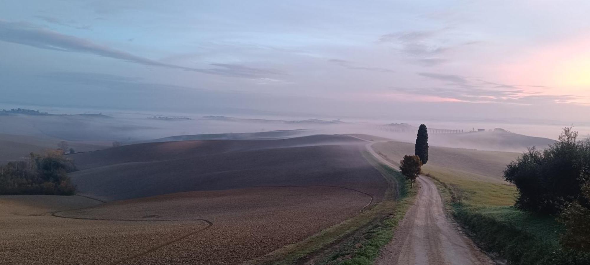 Gli Archi Di Corsanello Lägenhet Siena Exteriör bild